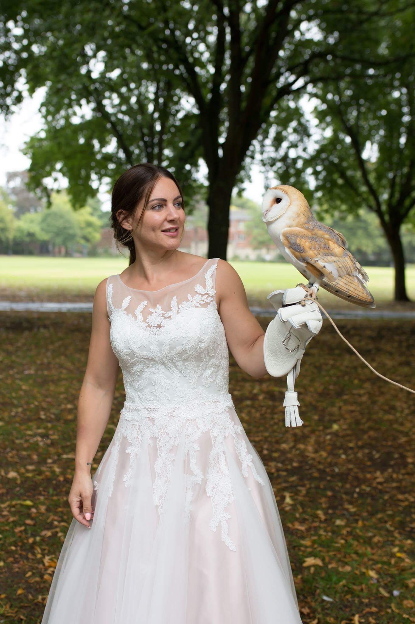 http://www.townandcountryfalconry.co.uk/wp-content/uploads/2016/12/Barnowl.jpg