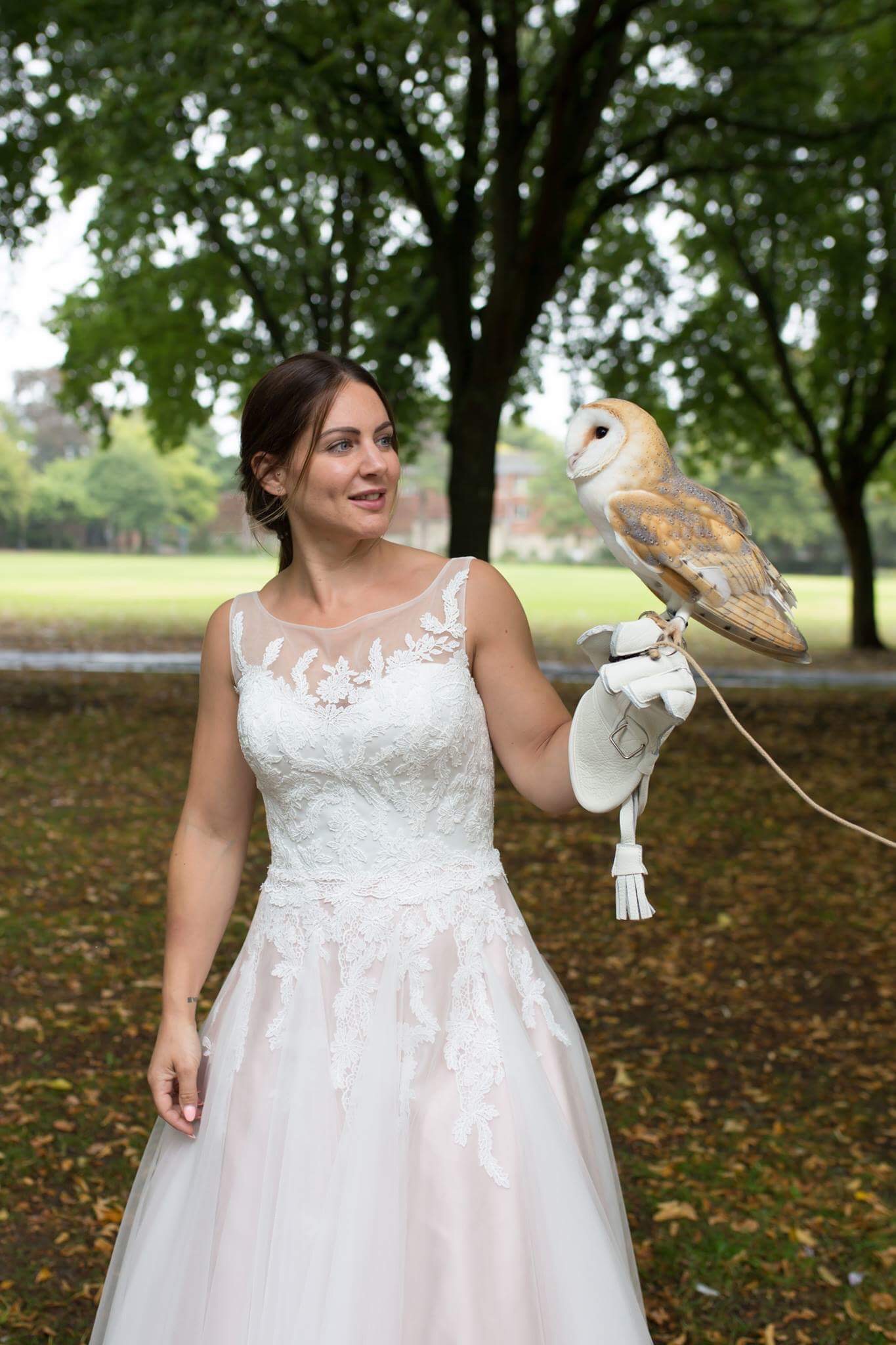 http://www.townandcountryfalconry.co.uk/wp-content/uploads/2016/12/Barnowl.jpg