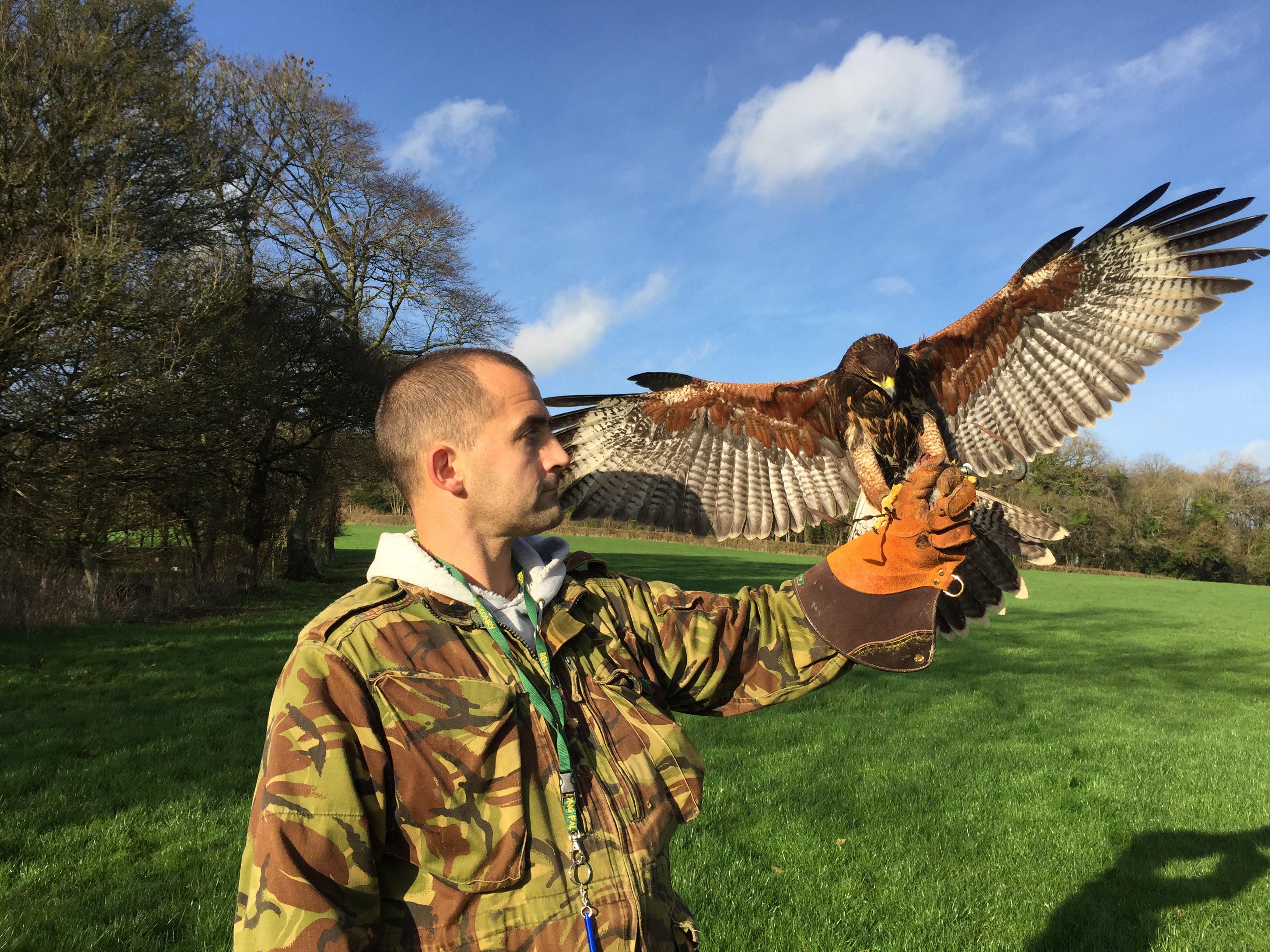 http://www.townandcountryfalconry.co.uk/wp-content/uploads/2017/01/IMG_2328.jpg