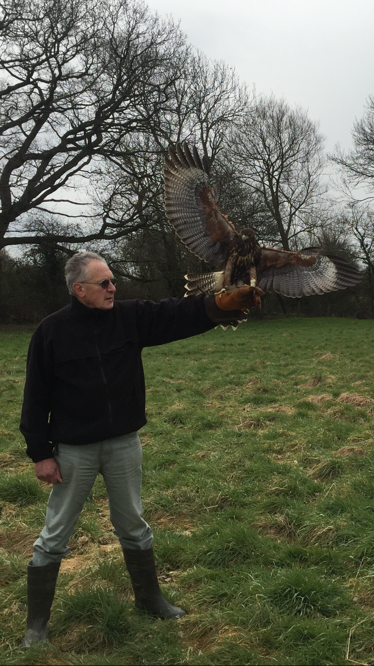 http://www.townandcountryfalconry.co.uk/wp-content/uploads/2017/01/IMG_3192.png