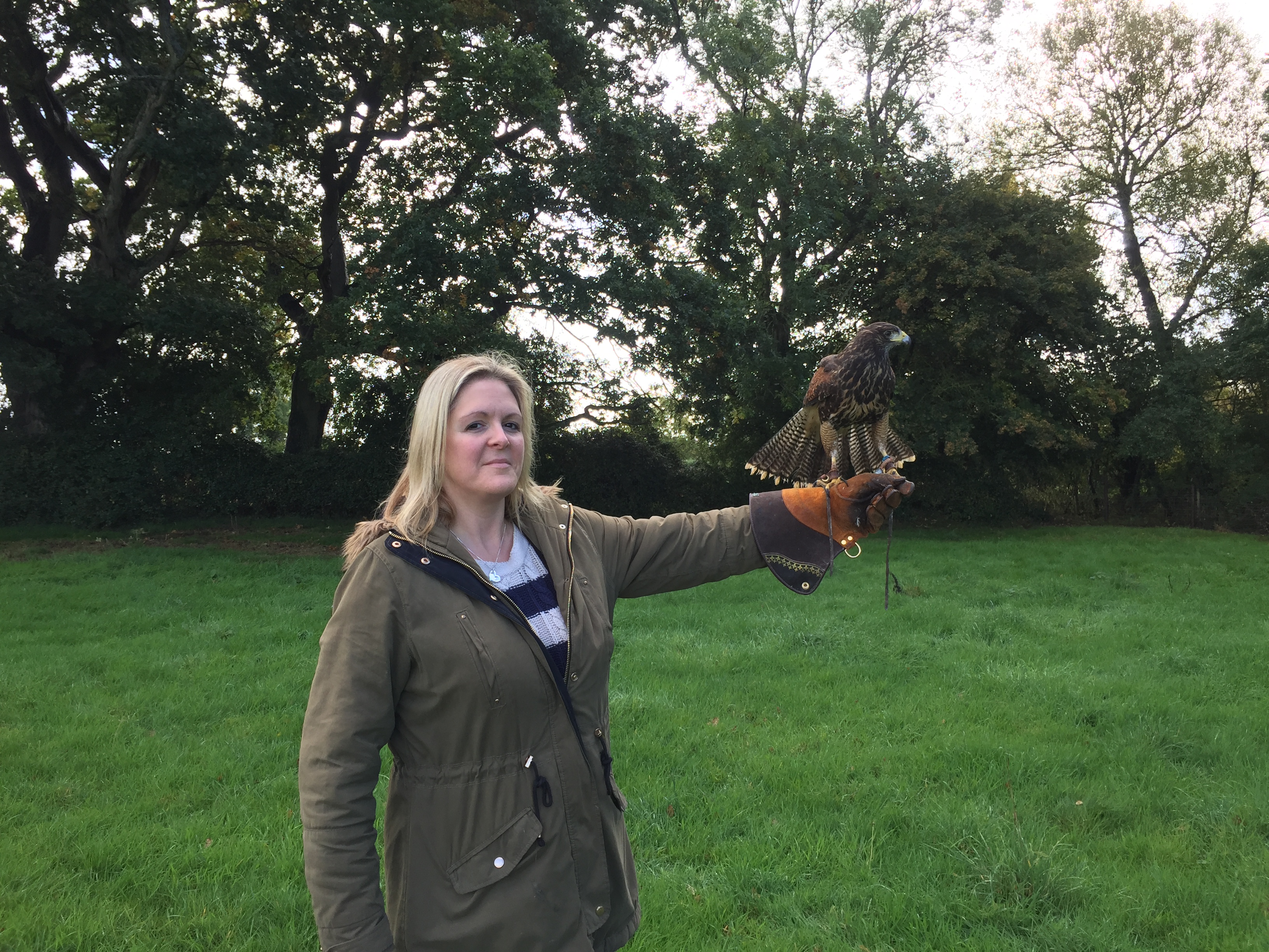 http://www.townandcountryfalconry.co.uk/wp-content/uploads/2017/01/IMG_6820.jpg